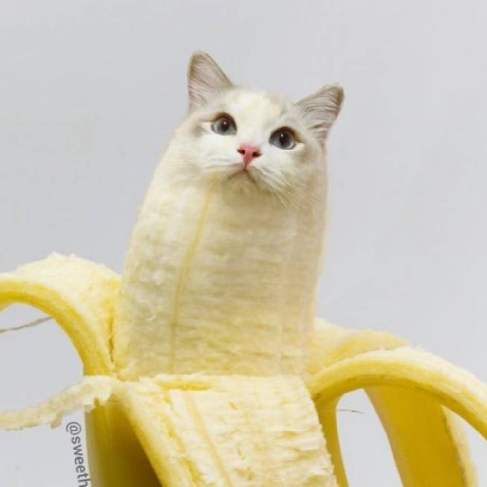 Meet your Posher, Maria samantha